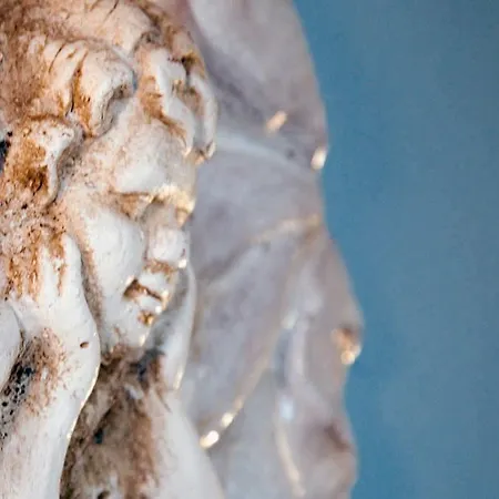 בית חווה Federico I Sassoferrato